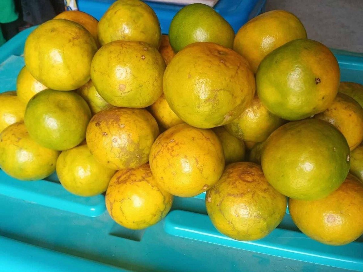 ส้มสายน้ำผึ้งสดในเข่งพลาสติก พร้อมจำหน่ายปลีกและส่ง